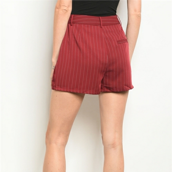 HONEY PUNCH WINE WHITE PIN STRIPE SHORTS - Picture 7 of 13